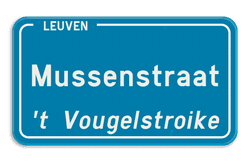 Gepersonaliseerd straatnaambord met dialect blauw 400x200mm