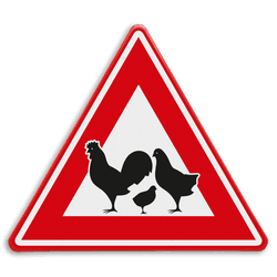 Verkeersbord - waarschuwing overstekende kippen