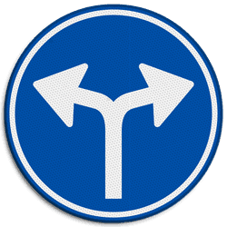 Verkeersbord RVV D07 - Verplichte rijrichting links of rechtsaf