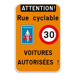 Panneau combiné - Route réservé aux vélos - Les voitures sont autorisées