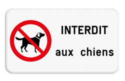 Panneau “Interdit aux chiens” – personnalisable – aluminium extérieur