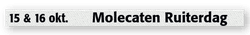 Evenementensticker - Visit Hattem - 1840x130mm