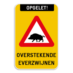 Verkeersbord - Opgelet - Overstekende Everzwijnen