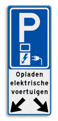 Verkeersbord parkeren elektrische voertuigen voor 2 vakken - reflecterend