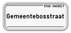 Personaliseerbaar T2000 straatnaambord Hasselt nieuw model