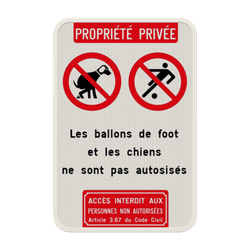 Panneau d'information - 2 pictogrammes - Texte personnalis&eacute; - Acc&egrave;s interdit art. 3.67