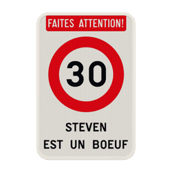 Panneau de Signalisation Personnalis&eacute; &ndash; Anniversaire