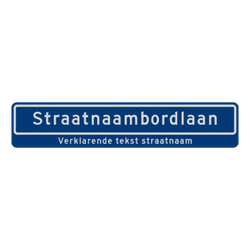 Straatnaambord 18 karakters 1000x200mm + ondertekst - reflecterend