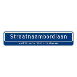 Straatnaambord 18 karakters 1000x200mm + ondertekst - reflecterend