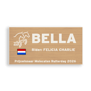 Voorbeeld 2