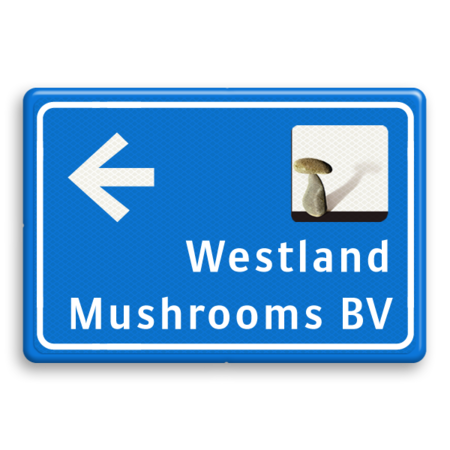 Blauw verwijsbord met pijl en eigen logo