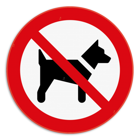 Verbodsbord - Verboden voor honden - pictogram P021