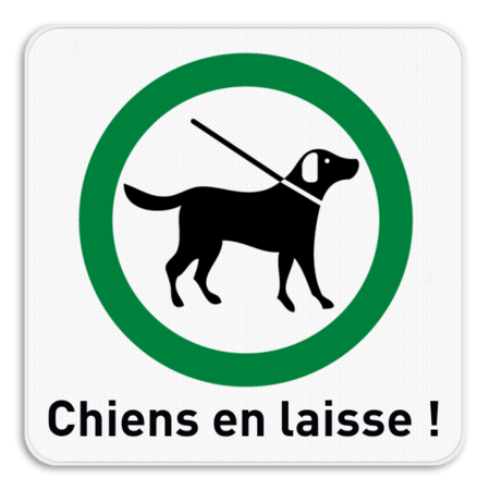 Panneau d'information 1:1 - Chiens en laisse