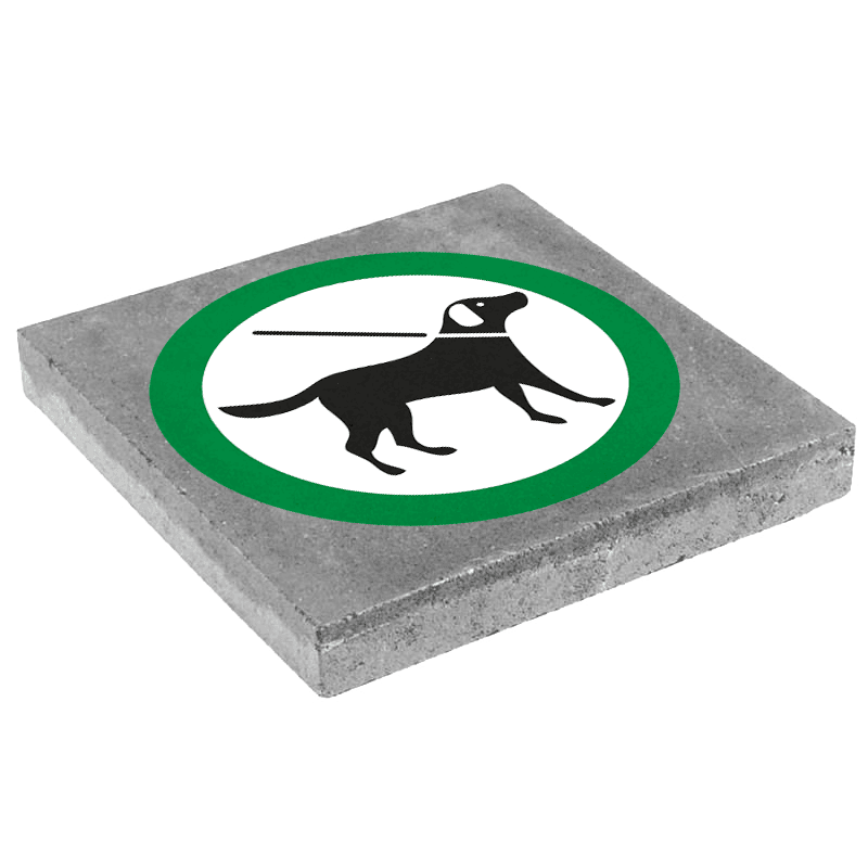 Dalle de signalisation 300 x 300 mm – Chiens tenus en laisse