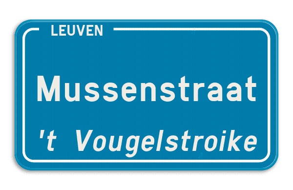 Gepersonaliseerd straatnaambord met dialect blauw 400x200mm