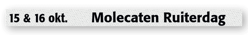 Evenementensticker - Visit Hattem - 1840x130mm