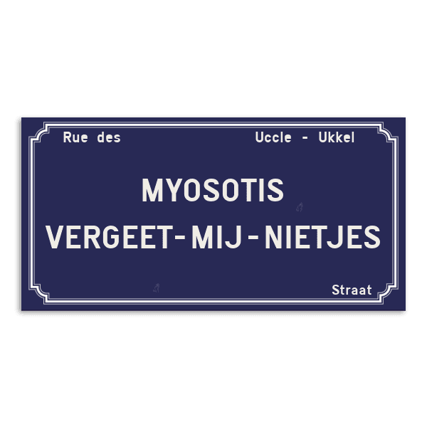 Personaliseerbaar Straatnaambord – Ukkel-stijl