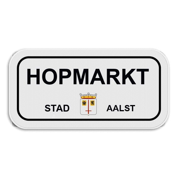 Personaliseerbaar SB250 straatnaambord Aalst