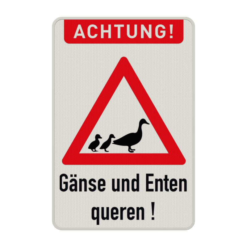Warnschilder - Paß auf, Gänse und Enten queren