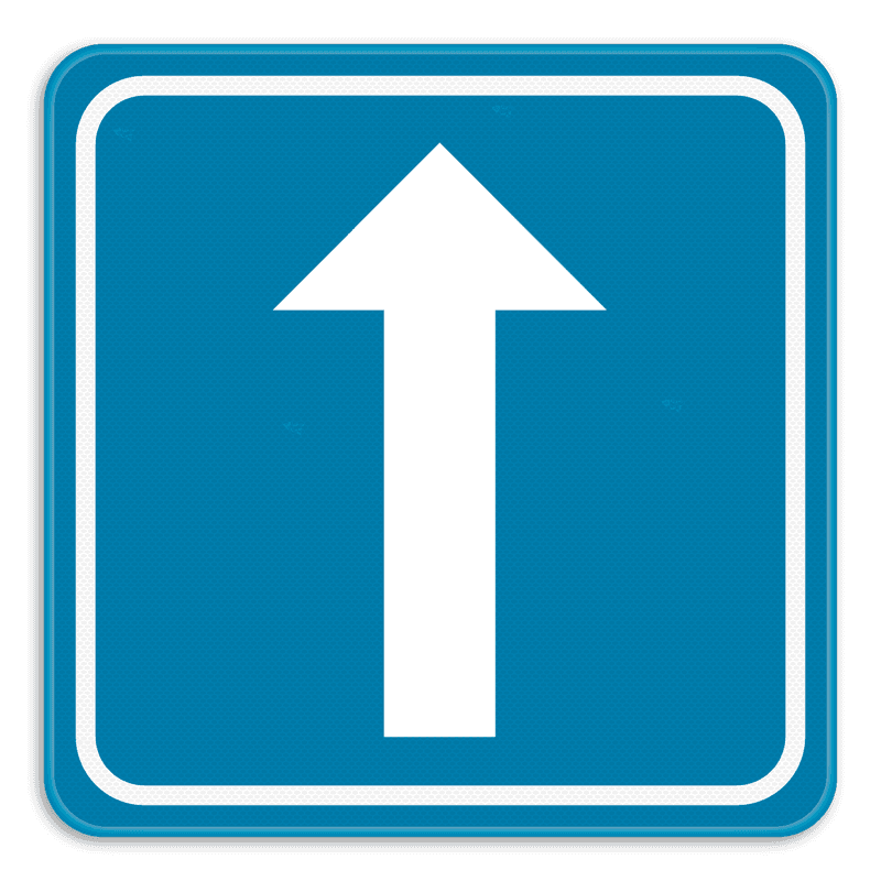 Verkeersbord SB250 F19 - Eenrichtingsverkeer